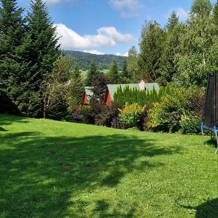 Domki Pod Kiczera W Baligrodzie, Bieszczady Bagian luar foto